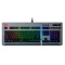 Level 20 RGB Titanium Gaming Keyboard Cherry MX Blue